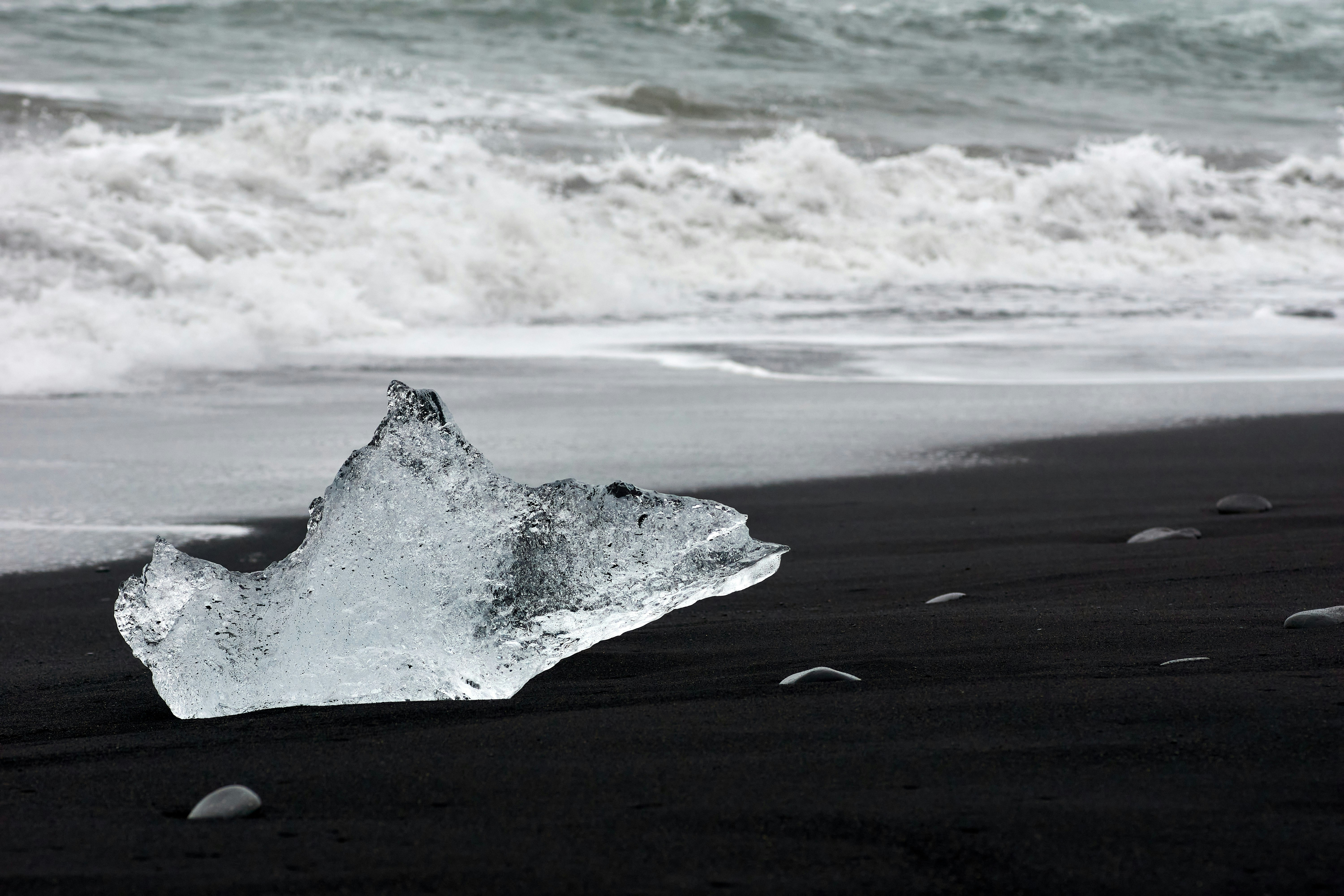 Photo by wolfgang_hasselmann