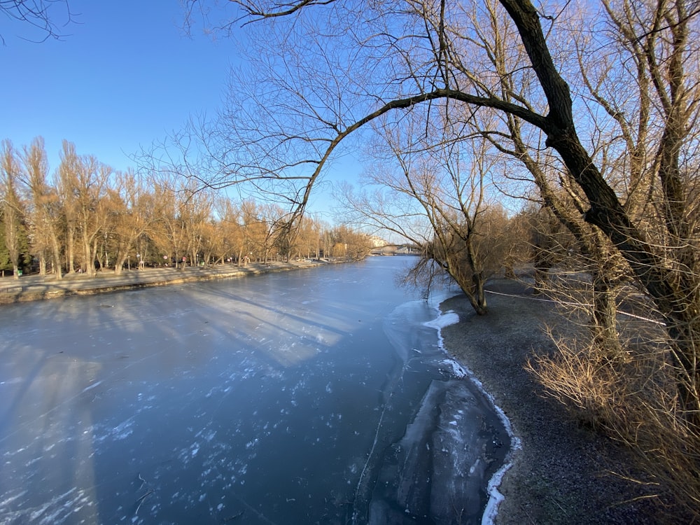 a body of water surrounded by trees and ice