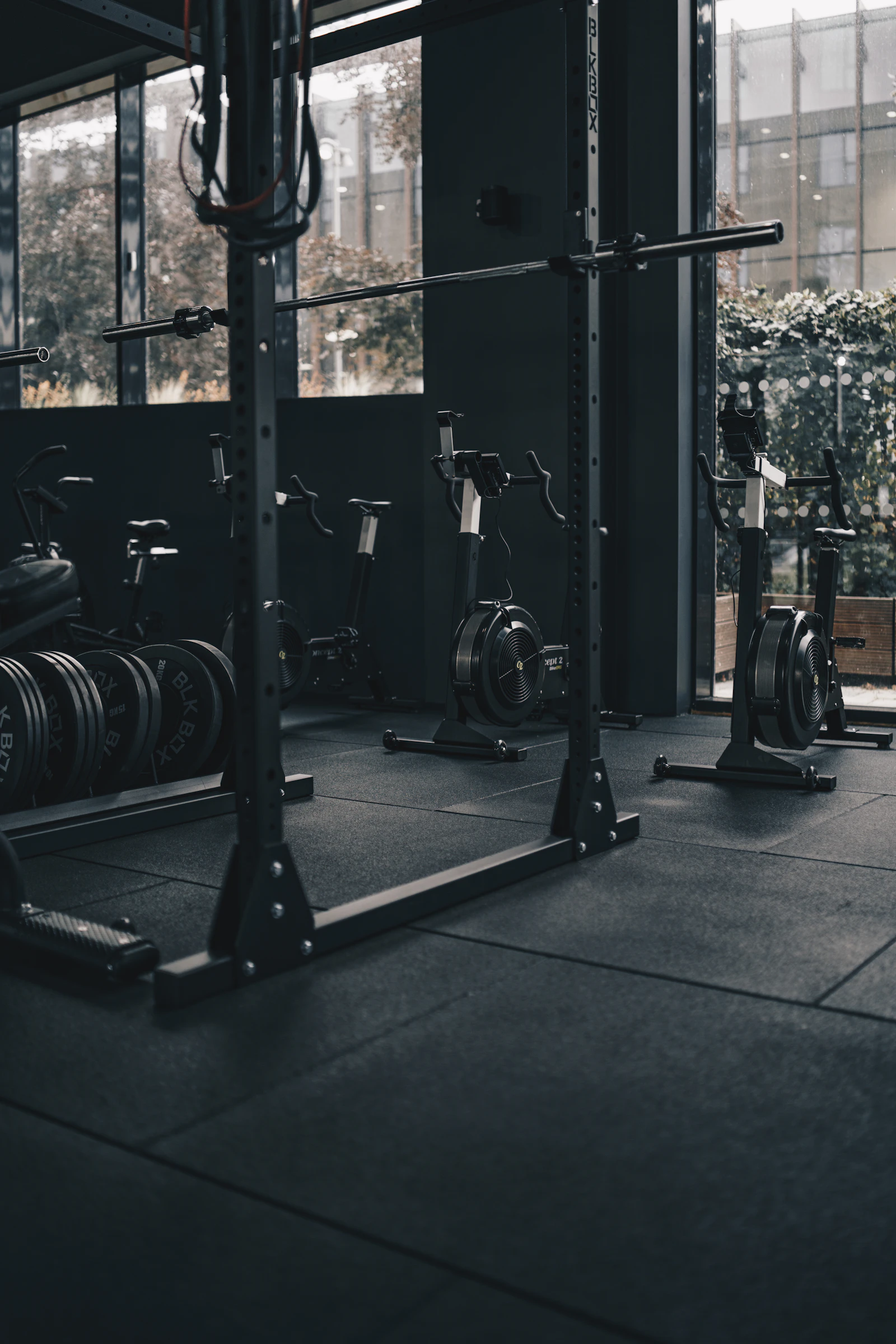 Row of commercial gym cardio and strength equipment, the kind Freeway services
