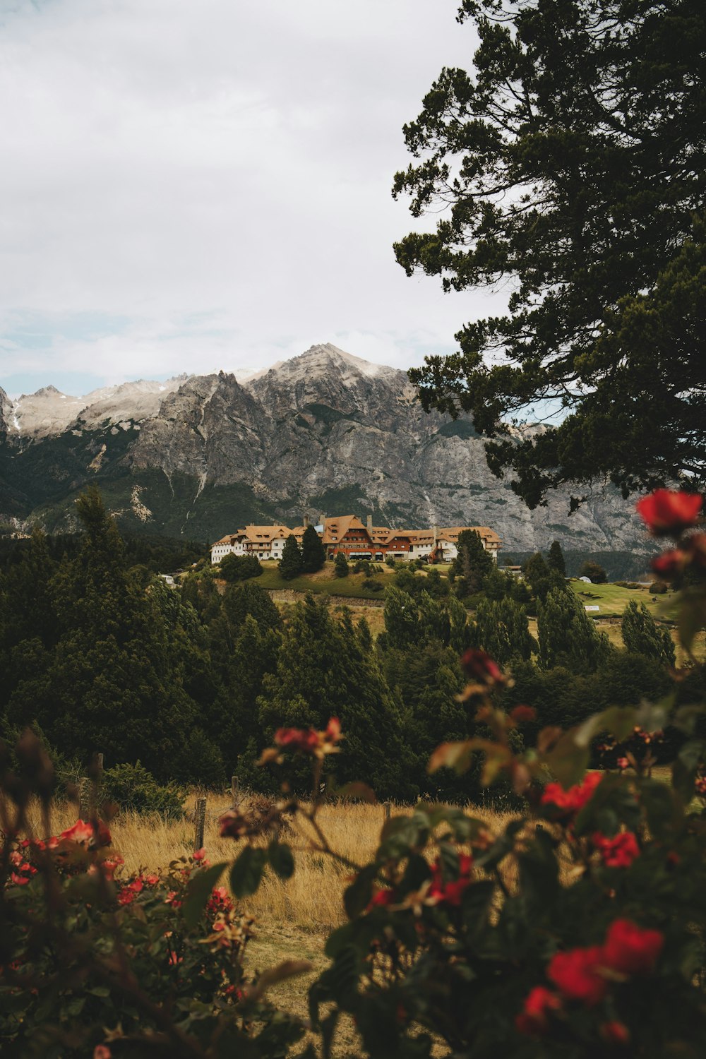 a view of a mountain with a house in the distance