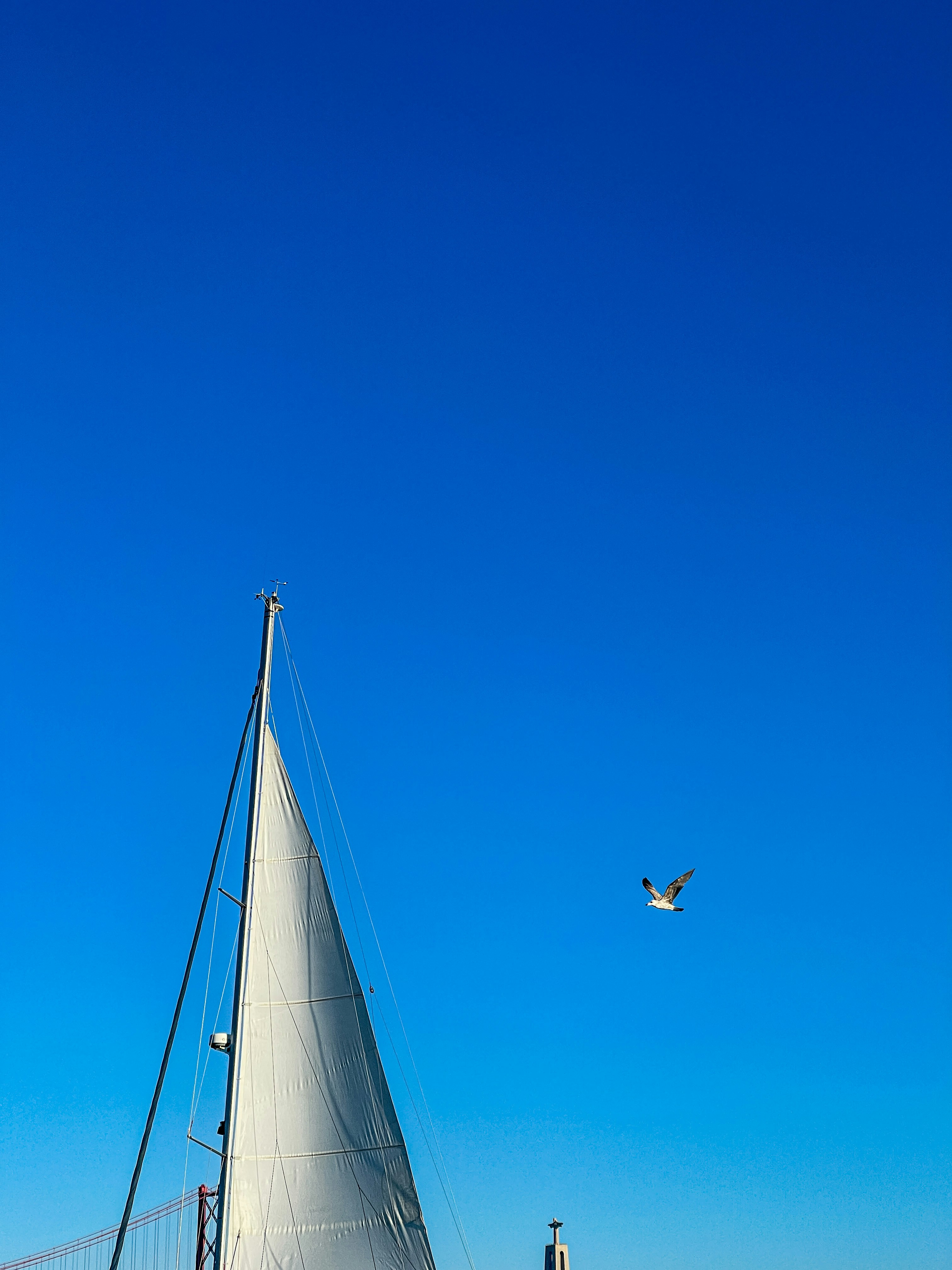 Un voilier sur l’eau avec un oiseau volant en arrière-plan photo ...