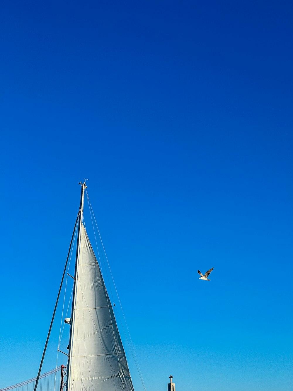 a sailboat on the water with a bird flying in the background