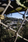 A scenic view of a residential neighborhood nestled in a lush, forested hillside. The houses are surrounded by abundant greenery and overlook dense, leafy trees. The scene is viewed through the diamond patterns of a chain-link fence.