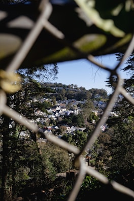 A scenic view of a residential neighborhood nestled in a lush, forested hillside. The houses are surrounded by abundant greenery and overlook dense, leafy trees. The scene is viewed through the diamond patterns of a chain-link fence.