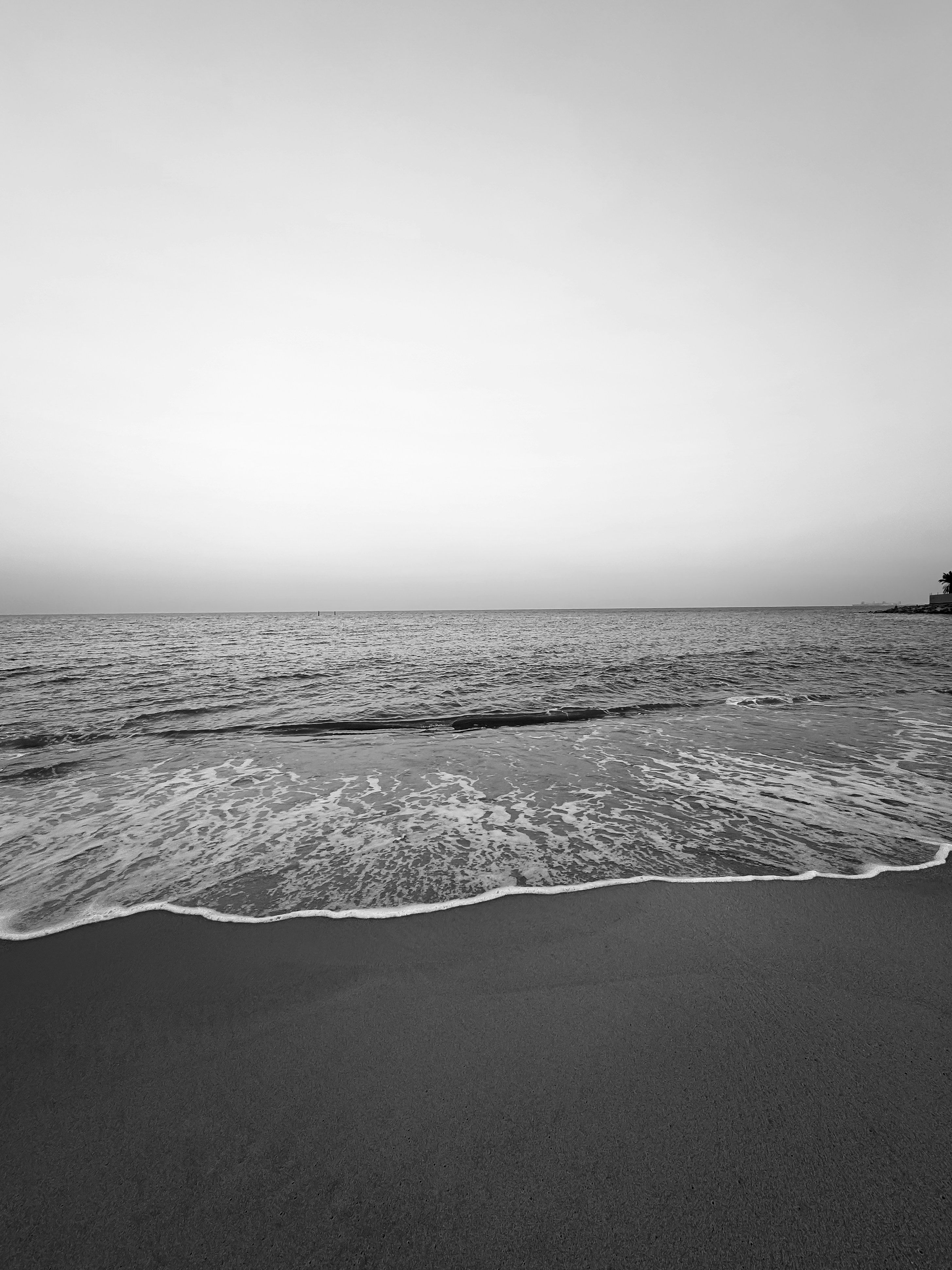 Photo by allensamthomas