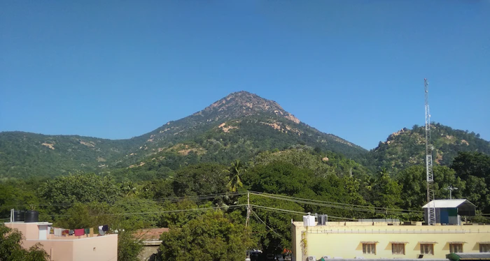 Best Airbnb Neighborhoods