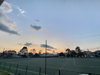 Evening scene showing a sports field surrounded by tall, secure metal mesh fences.