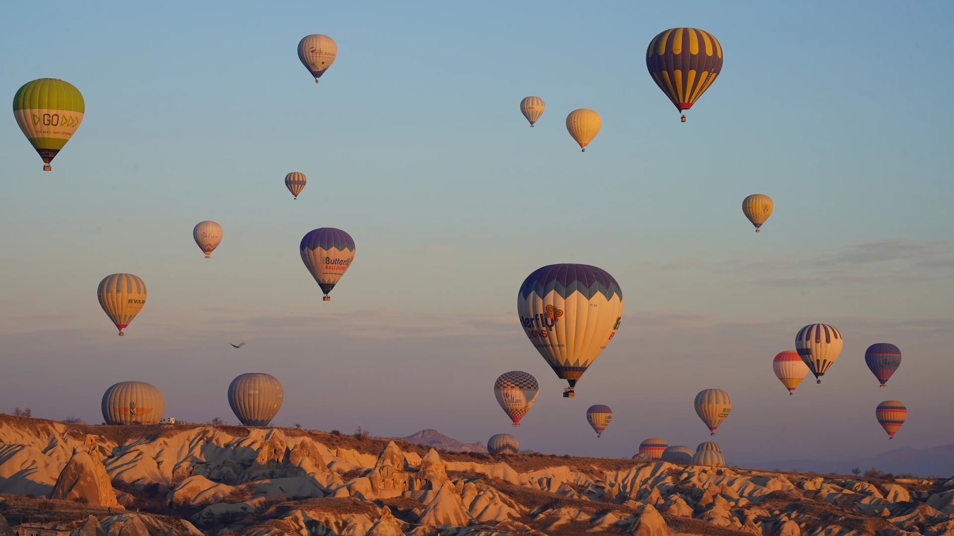 a bunch of hot air balloons flying in the sky