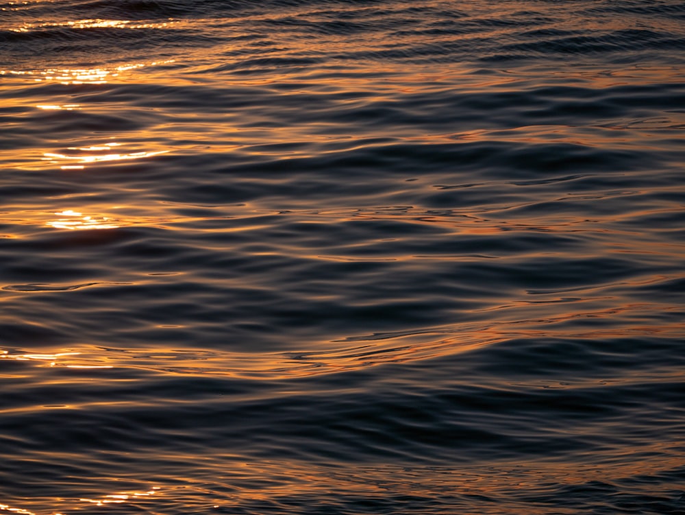 El sol se está poniendo sobre el agua del océano