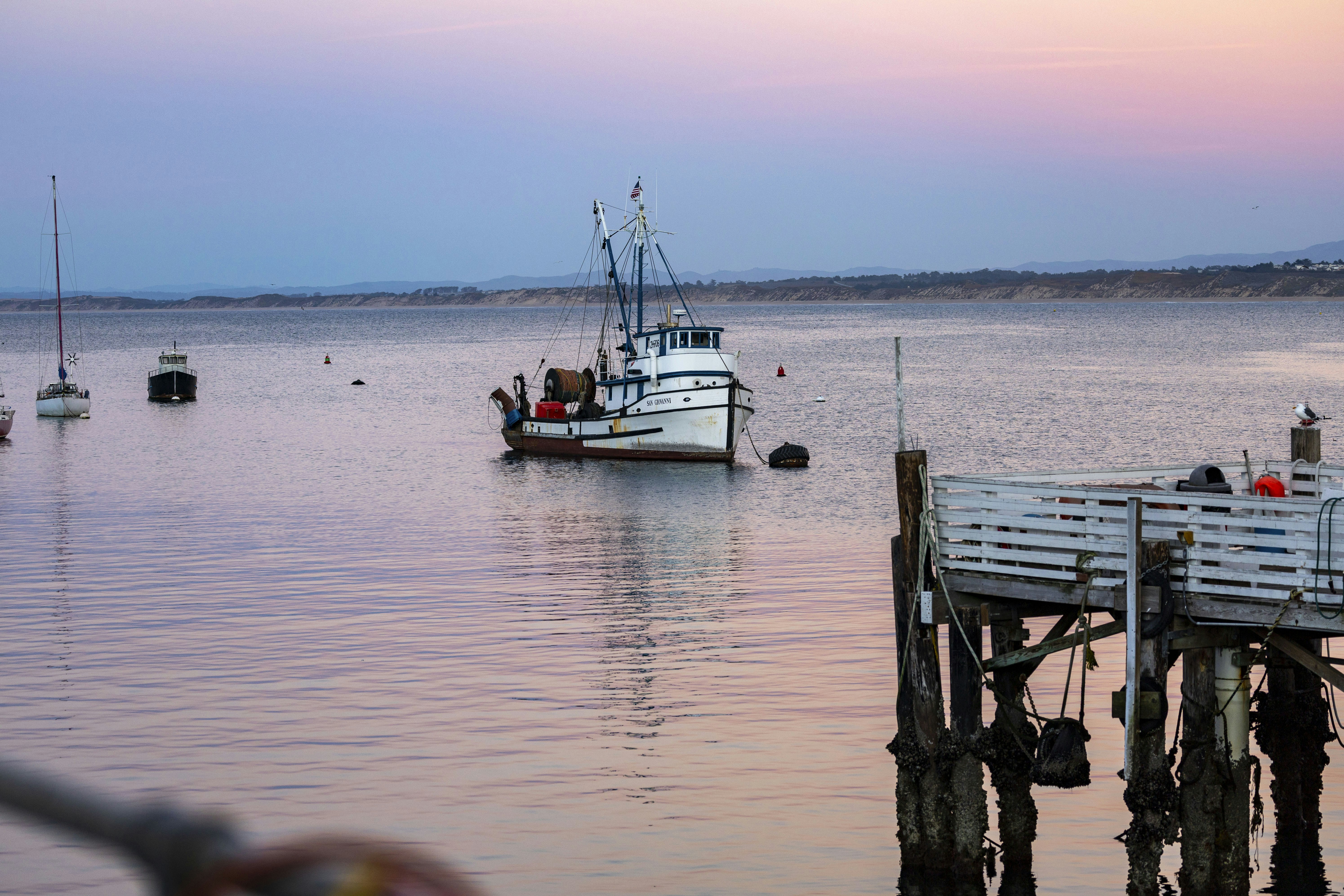 Photo by leo_visions_