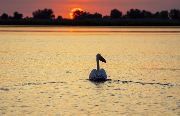 Delta Dunării