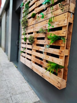A vertical wooden pallet wall planter adorned with various small green plants and moss, installed on a smooth, gray concrete exterior wall along a sidewalk. The walkway is made of light gray tiles.