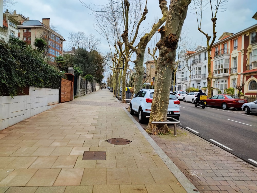 a city street lined with parked cars and trees