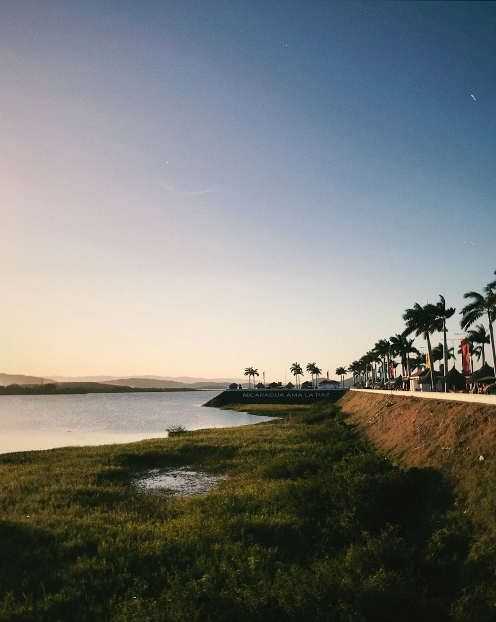 a body of water surrounded by palm trees