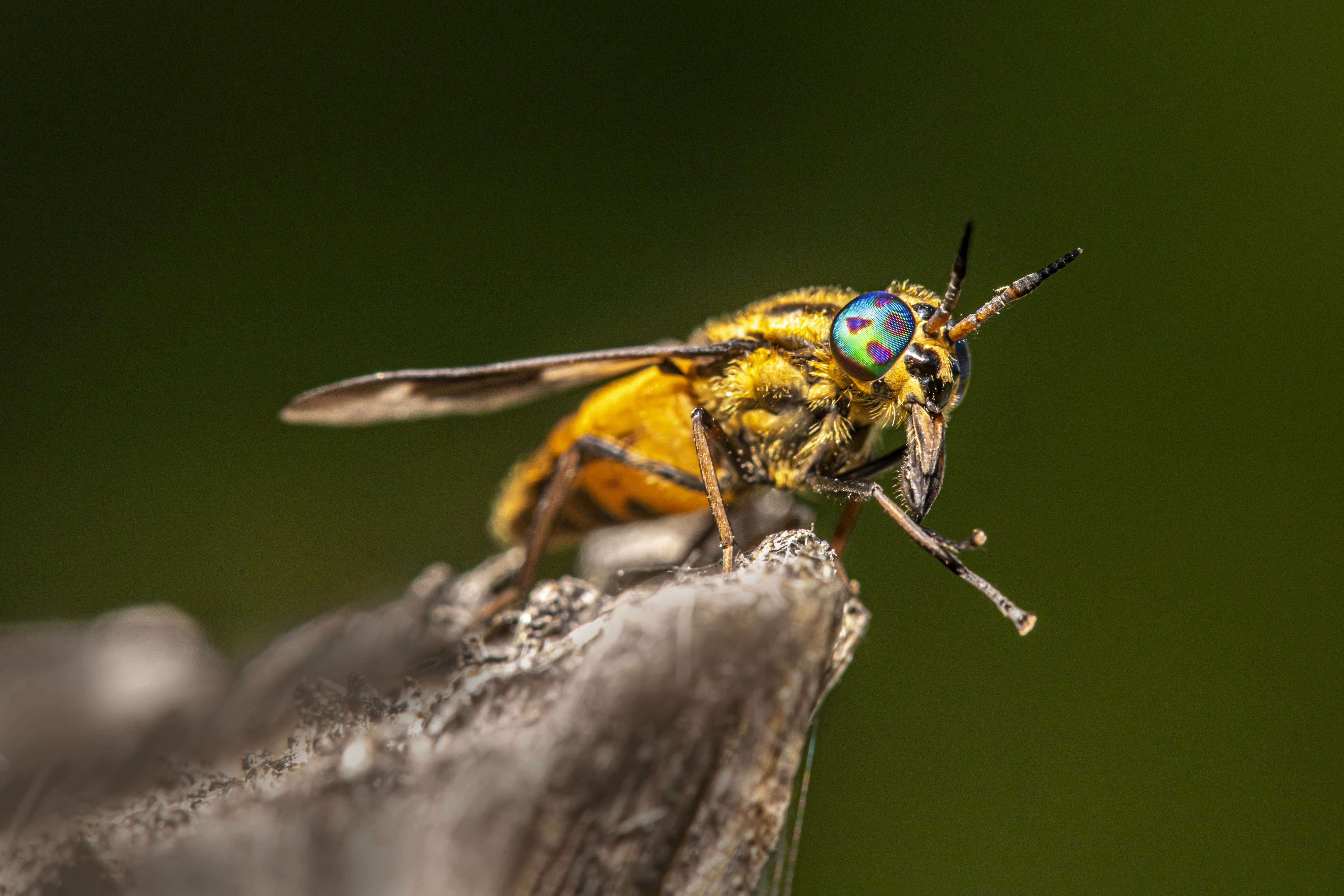 Photo by erik_karits