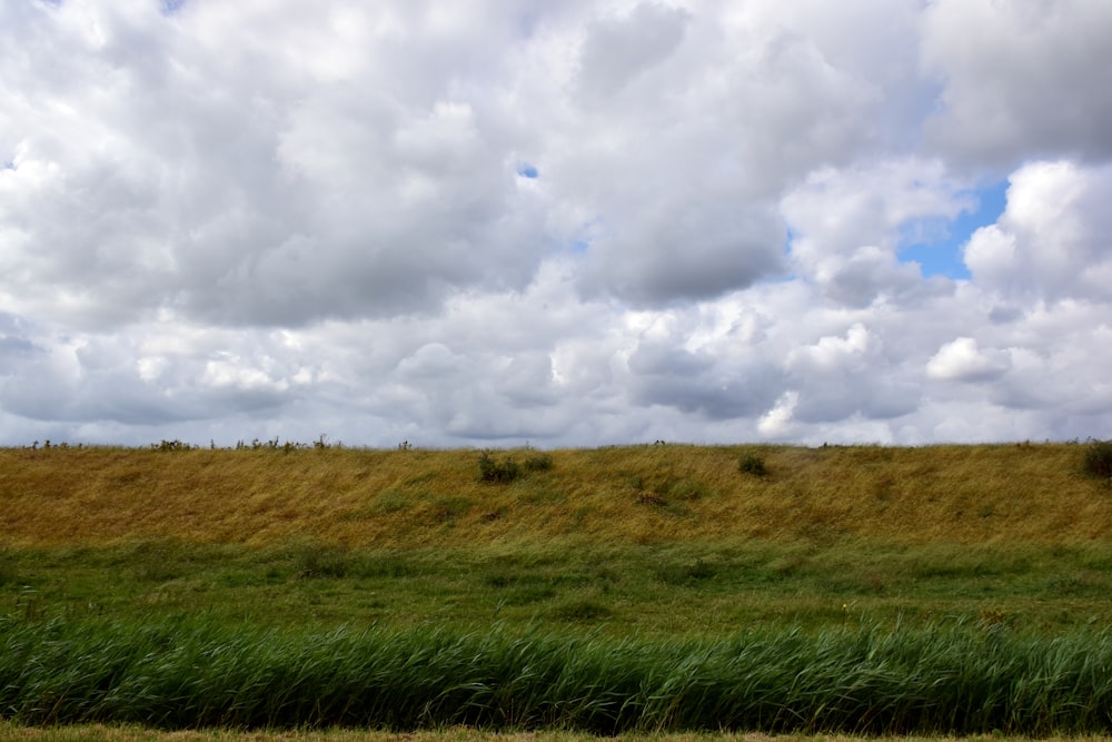 Un campo cubierto de hierba con nubes en el cielo