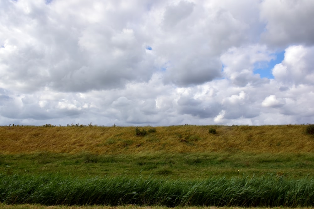 a grassy field with clouds in the sky