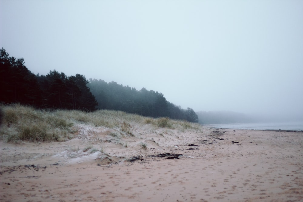 a foggy beach with footprints in the sand