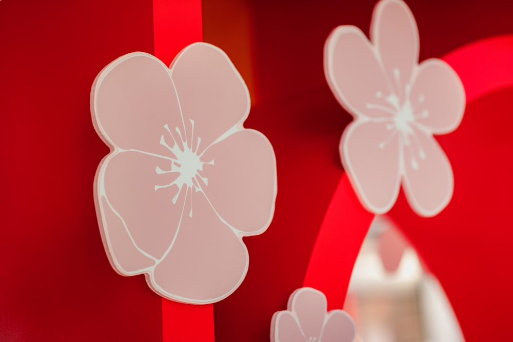 a close up of a flower on a red wall