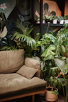 Cozy garden suite interior with elegant furniture and green plants.