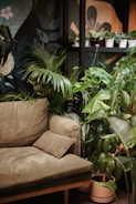 A cozy living space with a grayish-green sofa and cushion surrounded by various lush green potted plants. The background features a wall with colorful leaf patterns, enhancing the room's natural and serene ambiance.