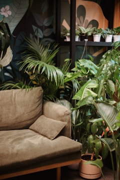 A cozy living space with a grayish-green sofa and cushion surrounded by various lush green potted plants. The background features a wall with colorful leaf patterns, enhancing the room's natural and serene ambiance.