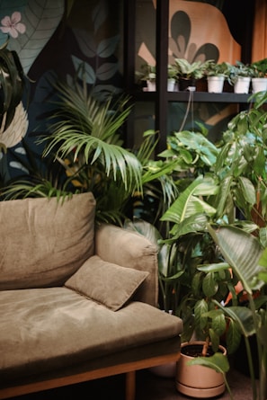 A cozy urban living room corner where green plants soften the gray tones of the architecture.