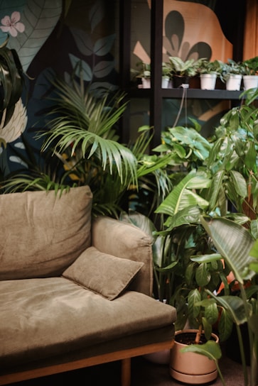 A cozy living room with a stylish sofa and plants.