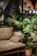 A serene, modern living room with balanced natural light and subtle green plants.