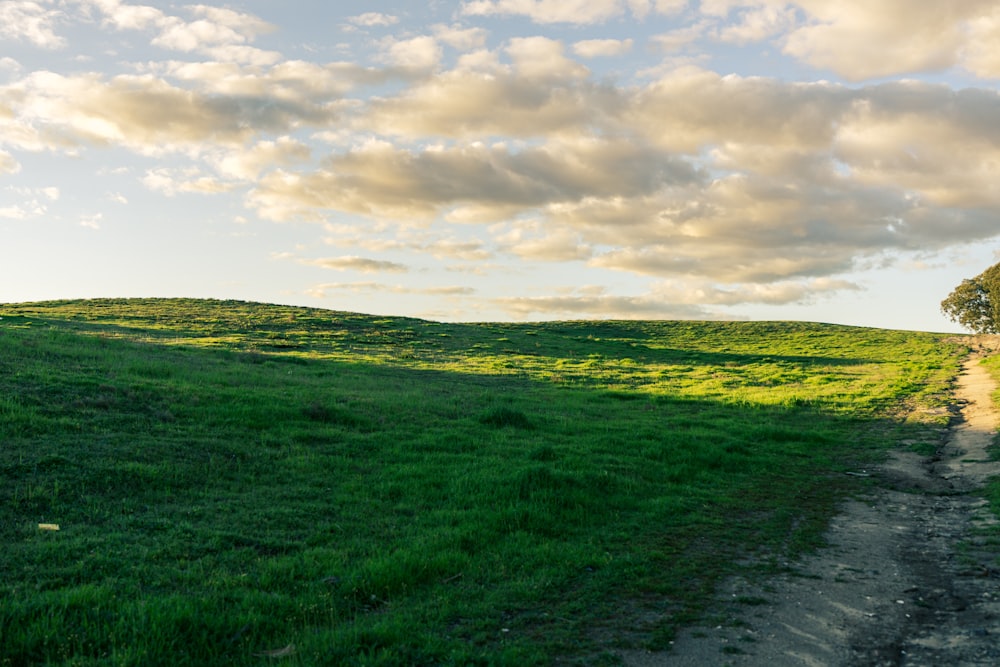 a dirt road running through a lush green field