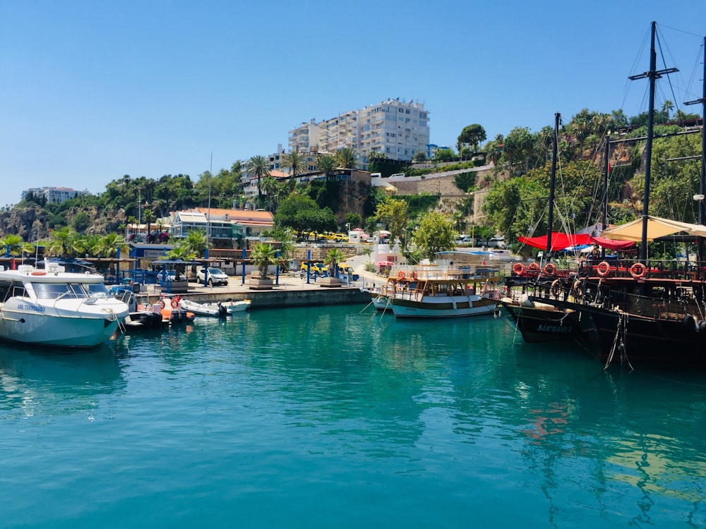 a harbor filled with lots of boats next to a hillside