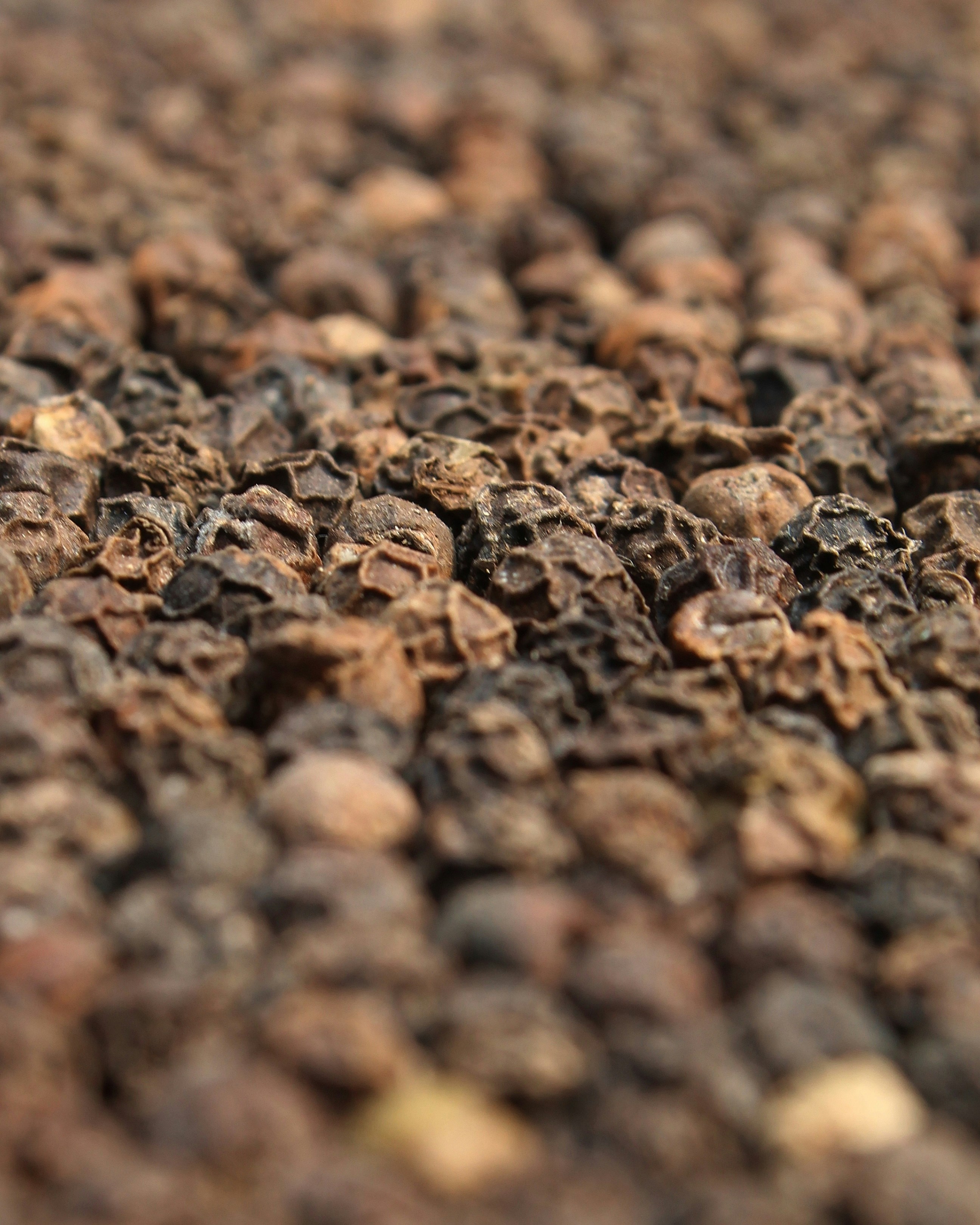 Photo by arif_zack_photography