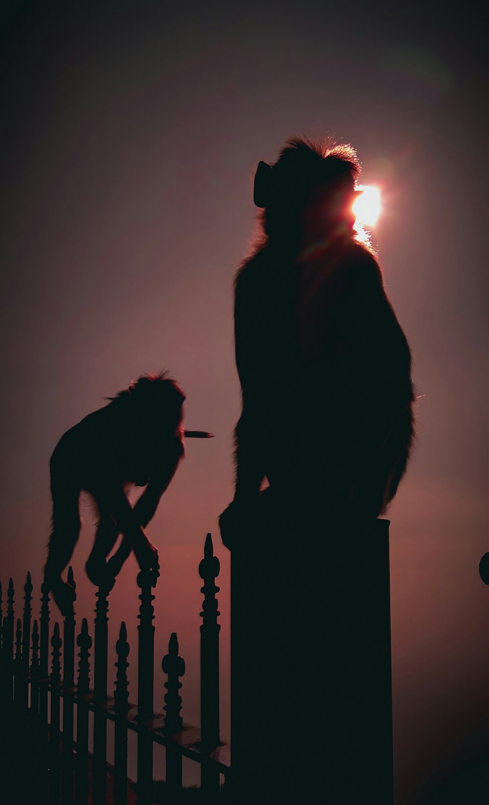 a man standing next to a dog on top of a fence