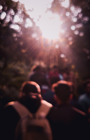 The image features a soft focus silhouette of people gathered together with bright sunlight filtering through trees in the background. The light creates a warm, dreamy atmosphere with bokeh effects from the foliage.