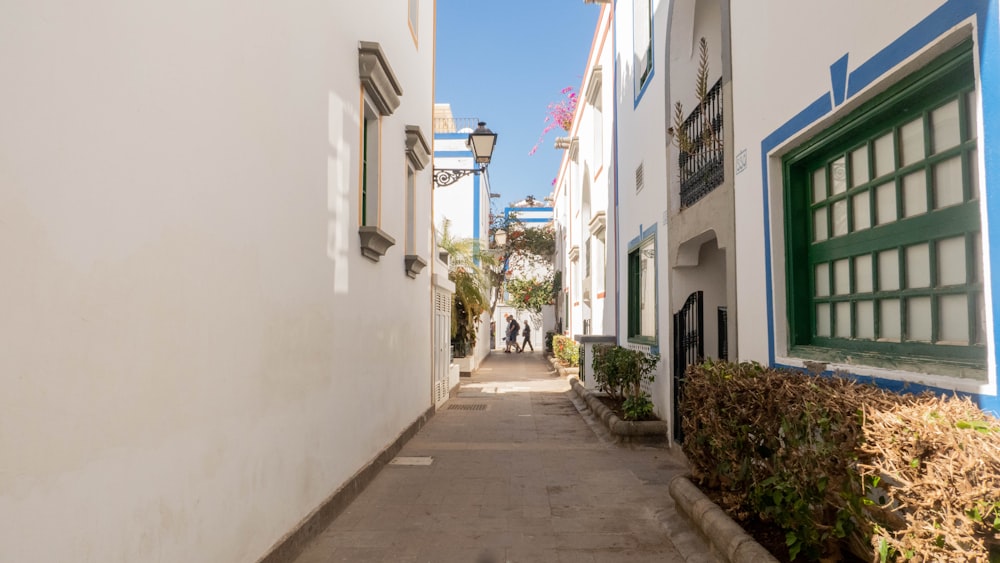 a narrow street with white buildings and green shutters