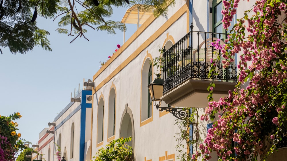 a row of buildings with flowers on the balconies