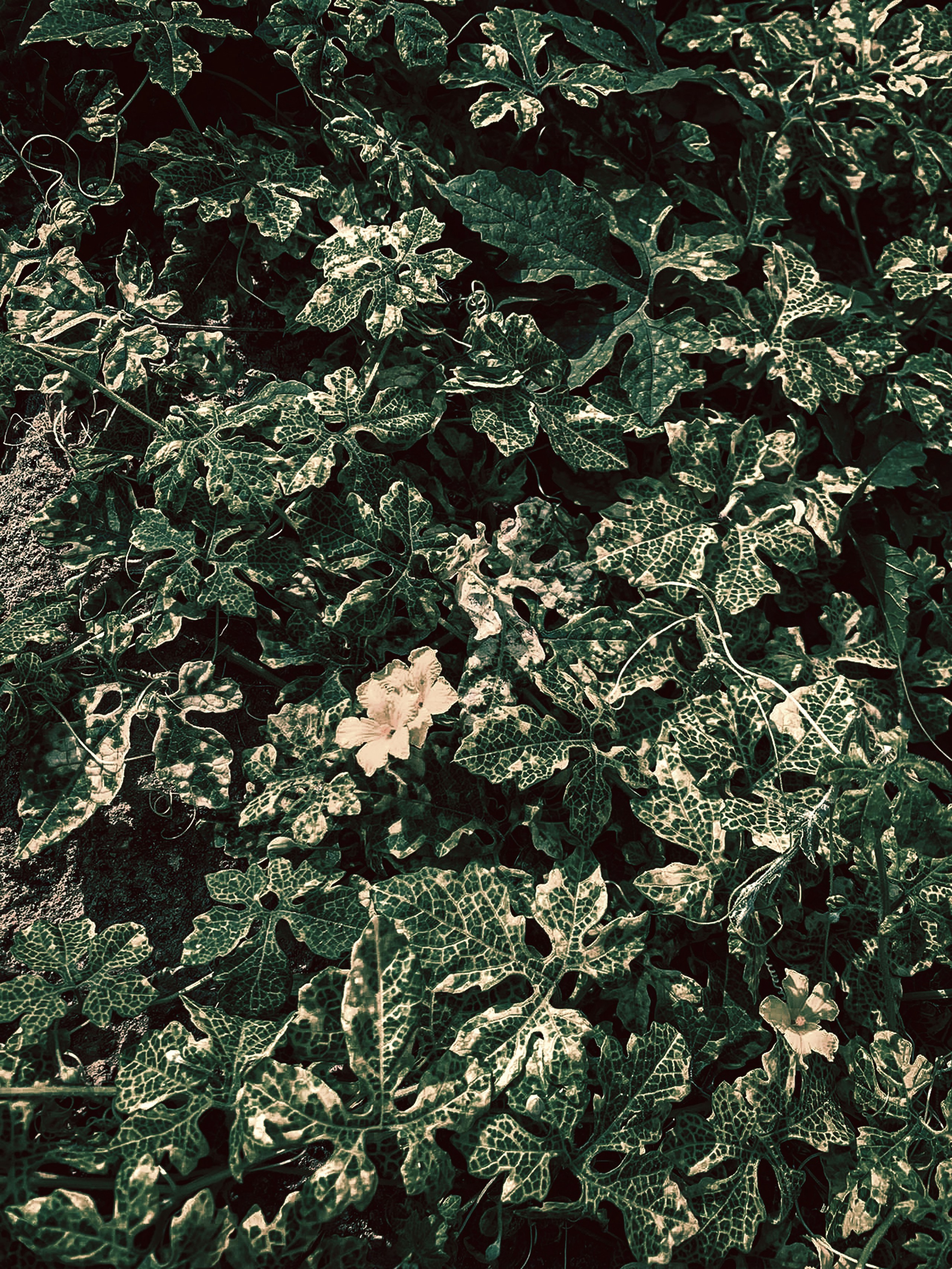 Photo by lens_of_verny