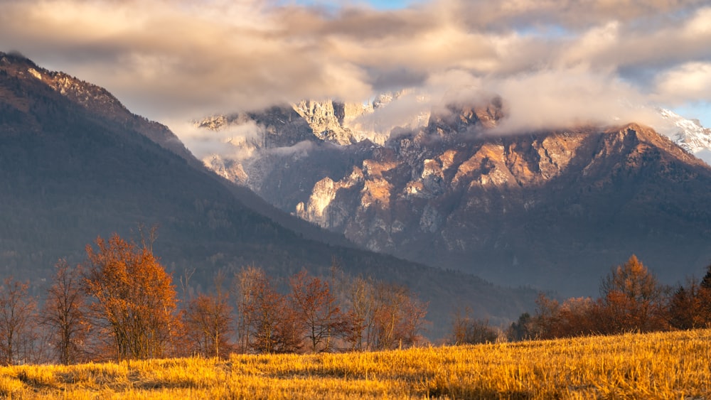 the mountains are covered in clouds and yellow grass