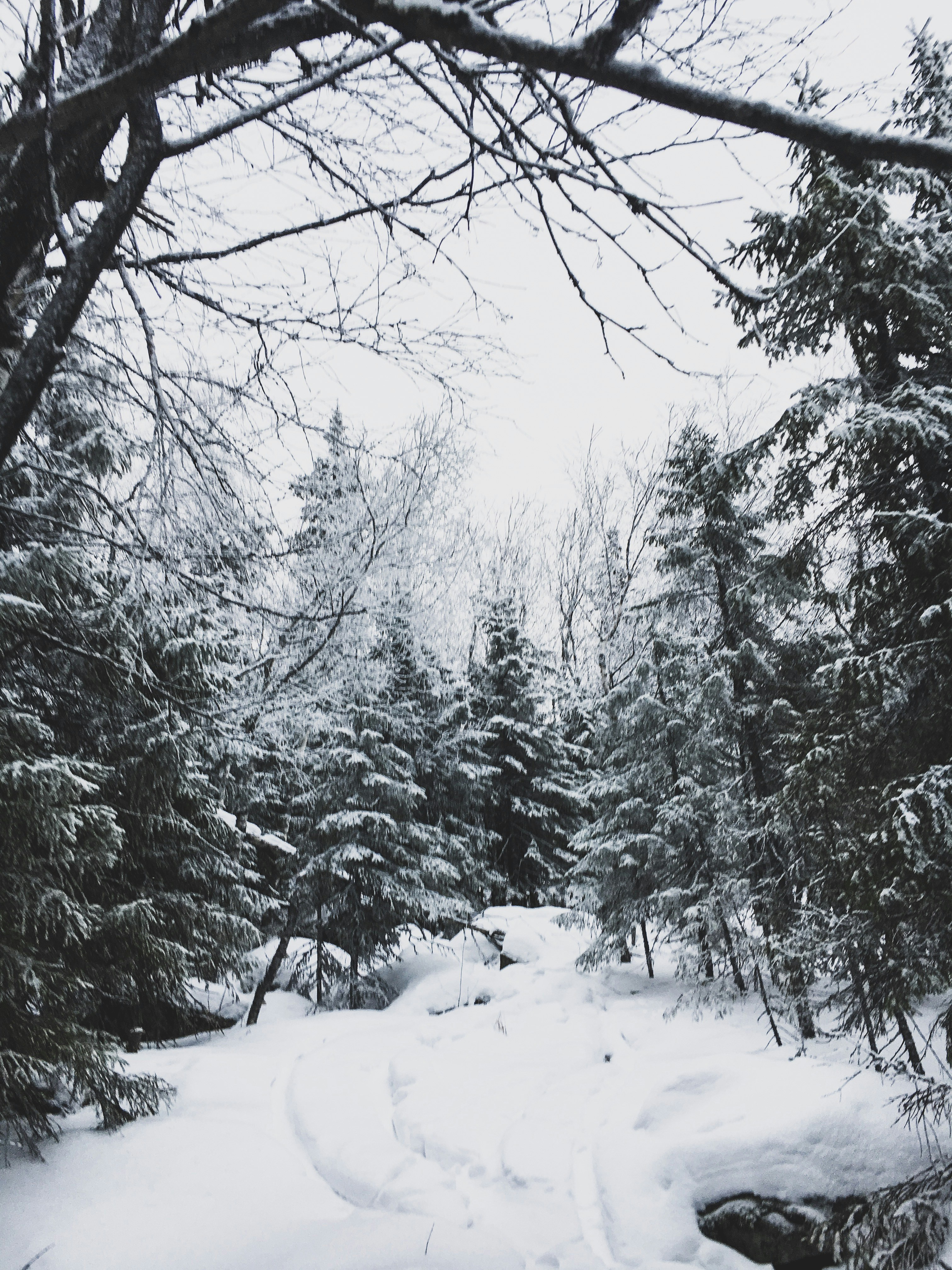 Photo by romanvolkov