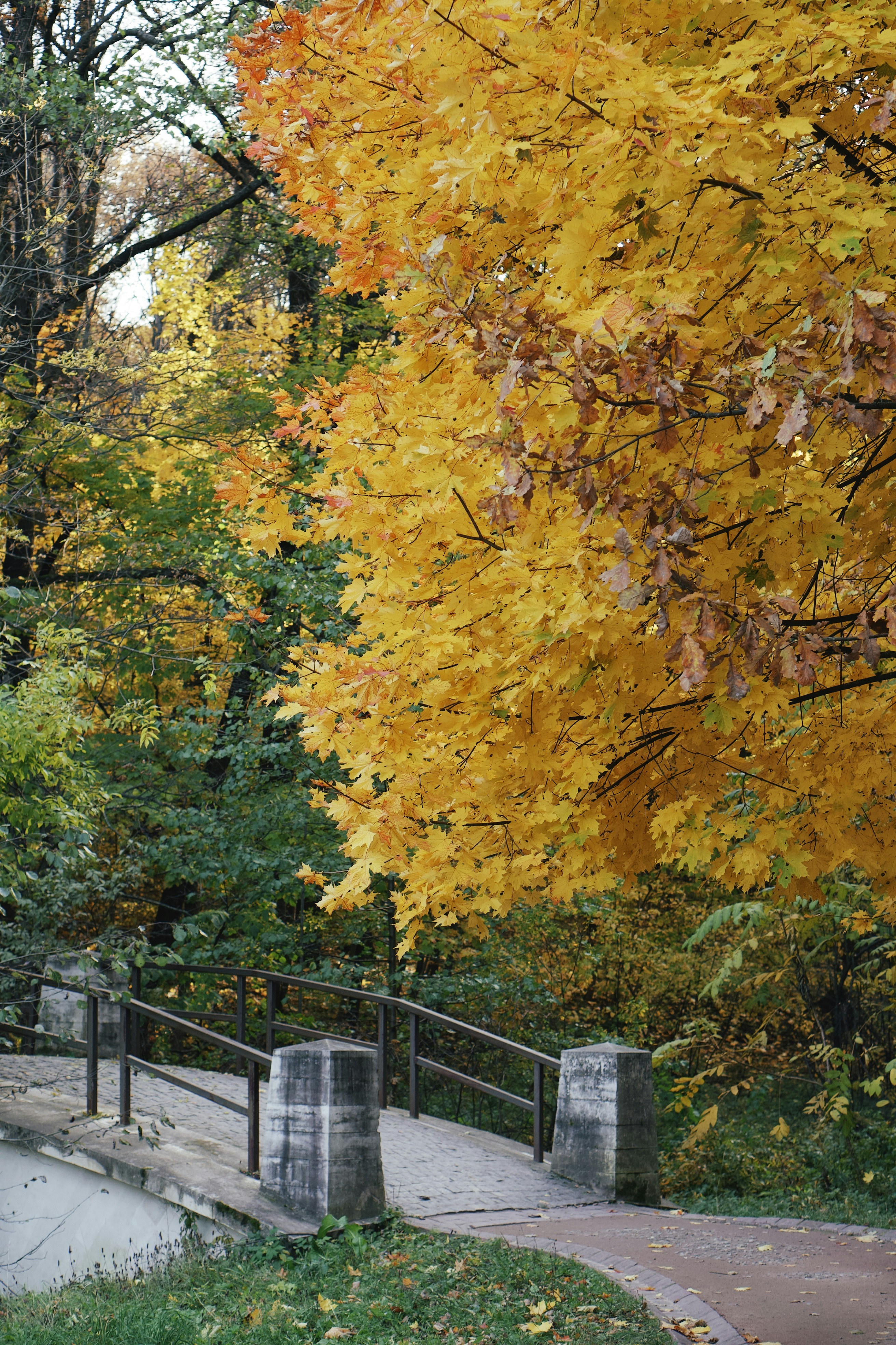 Photo by romanvolkov