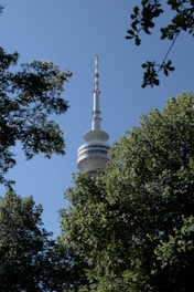 A tall communication tower rises above the treetops, with an antenna at the top and dish-like structures partway up. The scene is surrounded by lush green leaves against a clear blue sky.