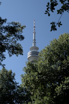 A tall communication tower rises above the treetops, with an antenna at the top and dish-like structures partway up. The scene is surrounded by lush green leaves against a clear blue sky.