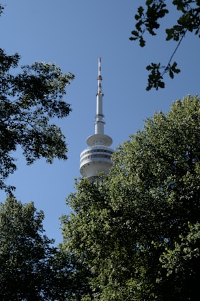 A tall communication tower rises above the treetops, with an antenna at the top and dish-like structures partway up. The scene is surrounded by lush green leaves against a clear blue sky.