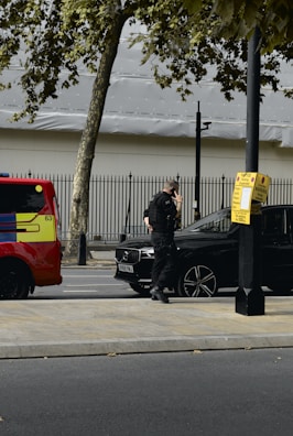 A person in dark clothing, possibly a security or law enforcement officer, is standing next to a black car parked by the roadside. A bright red and yellow vehicle, possibly an emergency service vehicle, is visible nearby. Trees and a metal fence are in the background.