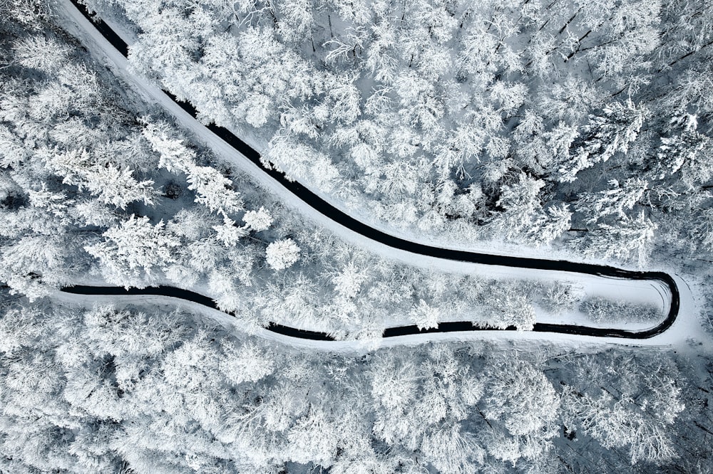 a winding road in the middle of a snow covered forest