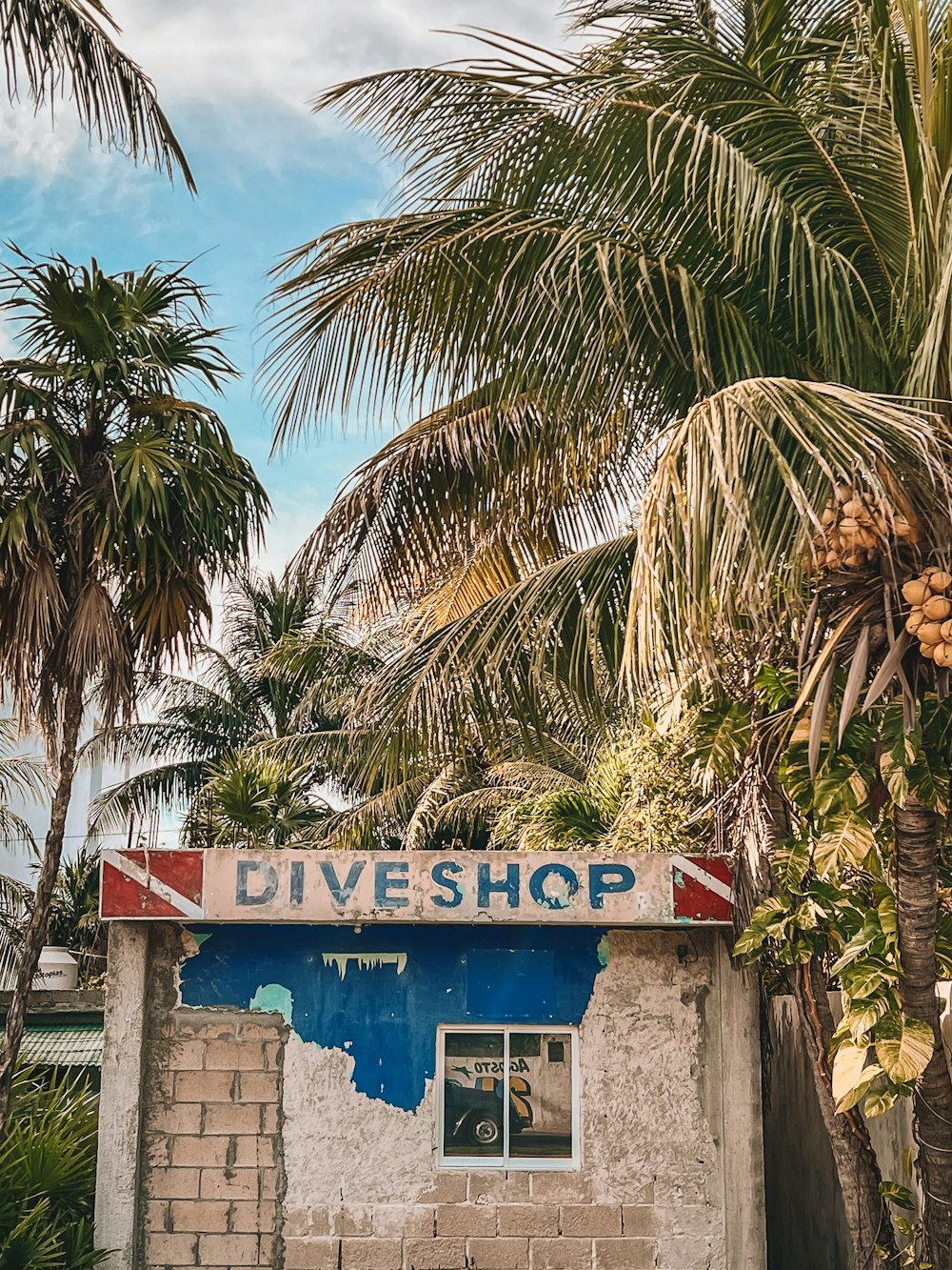 a sign on the side of a building that says dive shop