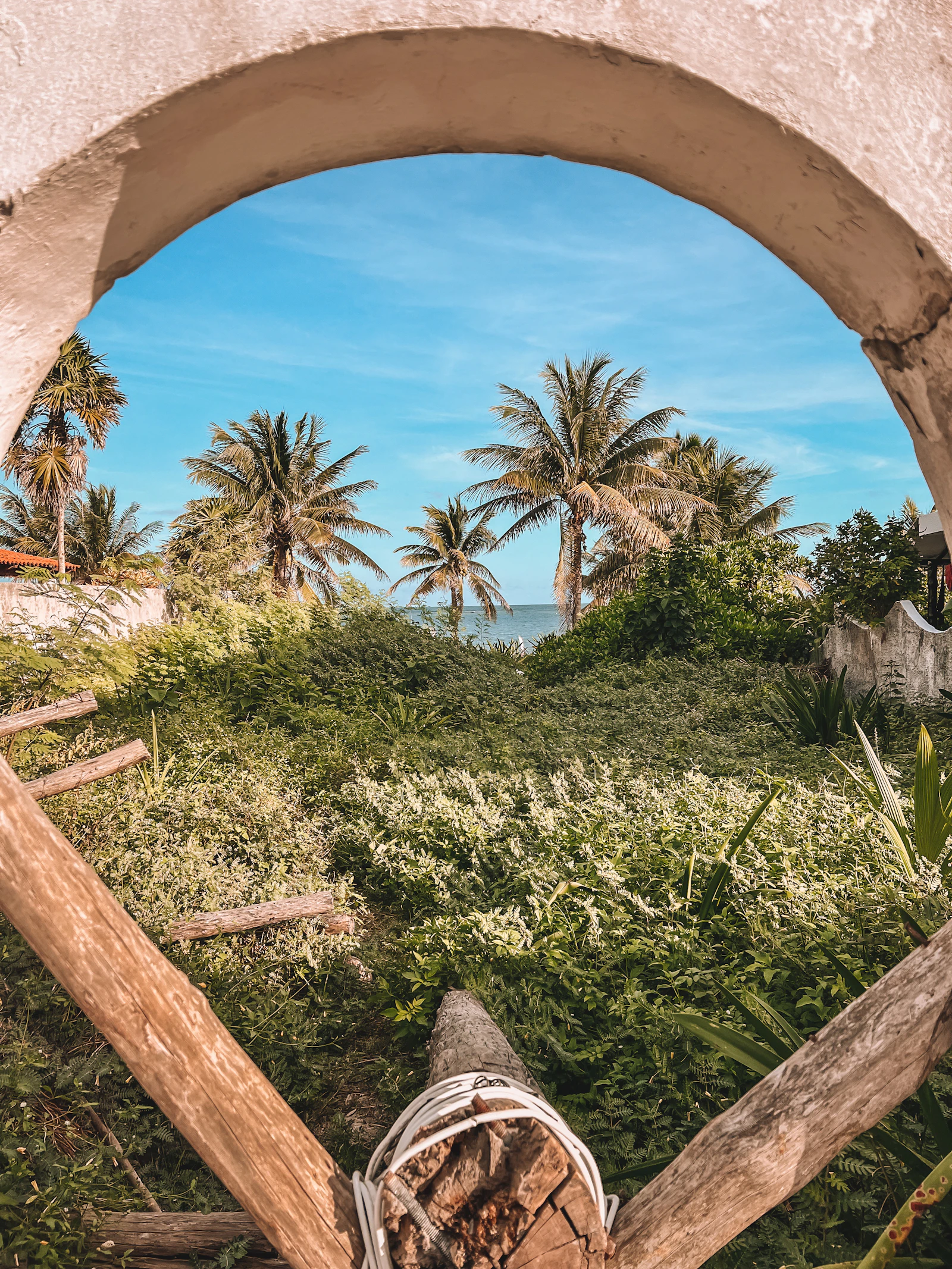 Boat resting in tropical greenery in Puerto Morelos, Mexico