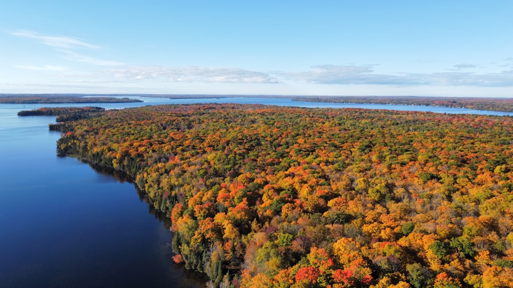 a large body of water surrounded by trees