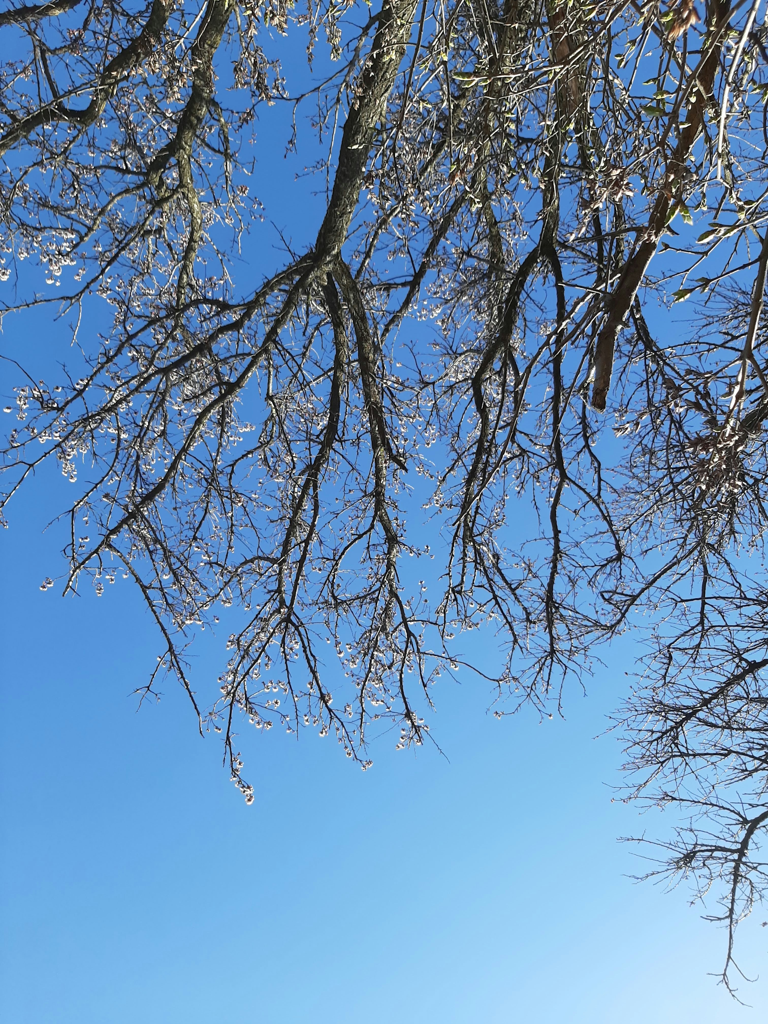 Photo by yanochka_areshkina