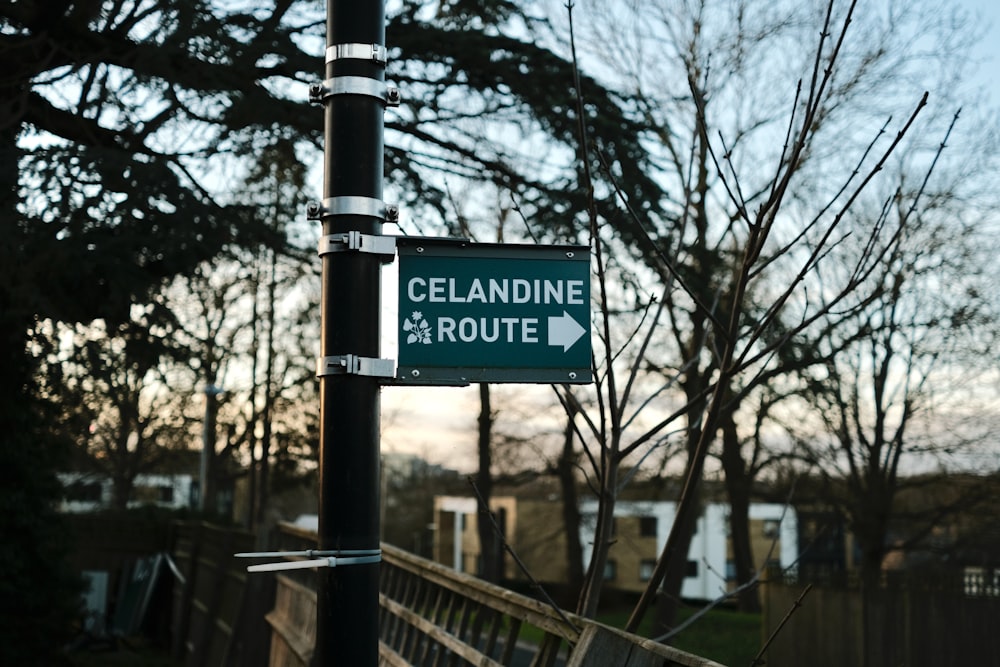 a street sign on a pole in front of some trees